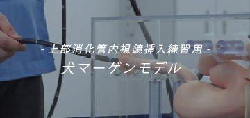 内視鏡トレーニング