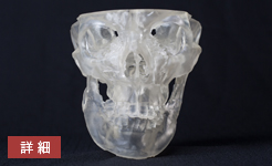 顎関節症シミュレーター