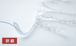 軟質可視化模型事例