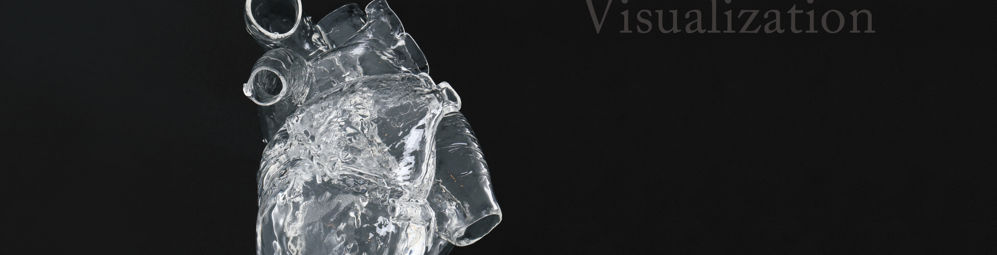 心臓可視化モデル